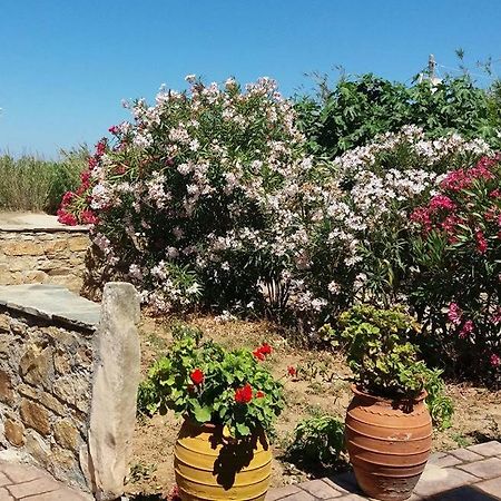 Villa Danai Agia Anna  المظهر الخارجي الصورة